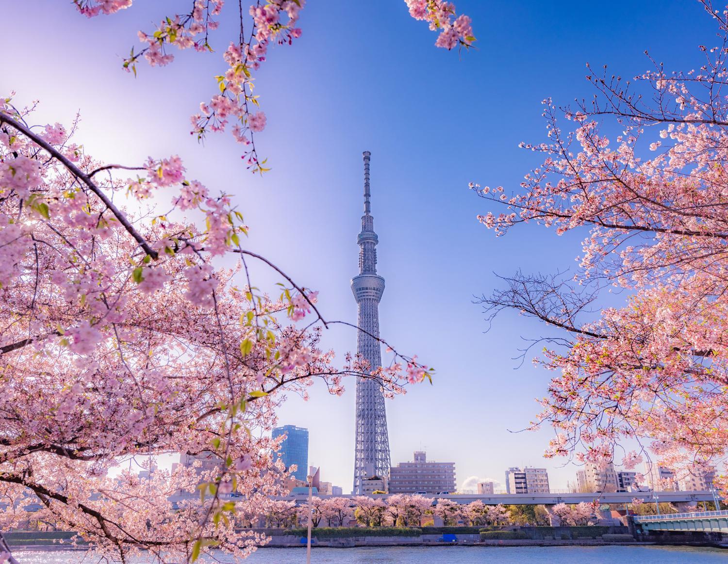 Grand Tree Hotel Skytree View Rooftop Asakusa Walk Tokio Zewnętrze zdjęcie